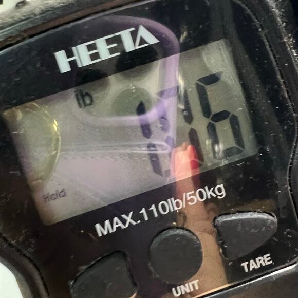 Woman Within Pants Womens 30W Blue Cargo Drawstring Elastic Waist Pockets Cotton - Picture 13 of 13